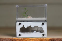 Mini Hearth (BF)(Grey 1034)