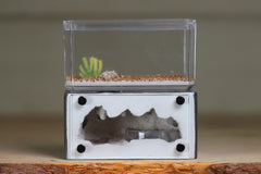 Mini Hearth (BF)(Grey 1035)