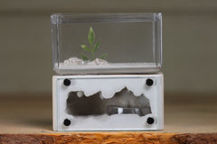 Mini Hearth (BF)(Bone 1042)