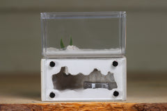 Mini Hearth (BF)(Bone 1044)