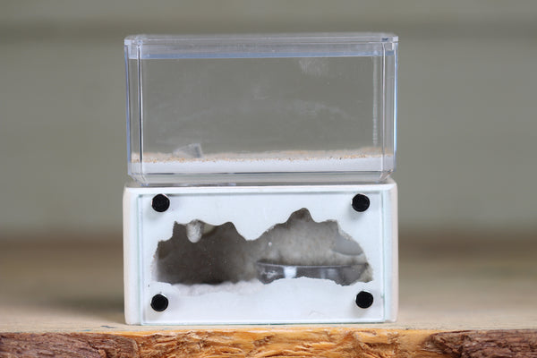 Mini Hearth (BF)(Bone 1047)