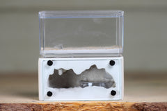 Mini Hearth (BF)(Bone 1047)
