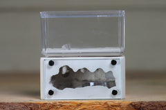 Mini Hearth (BF)(Bone 1048)