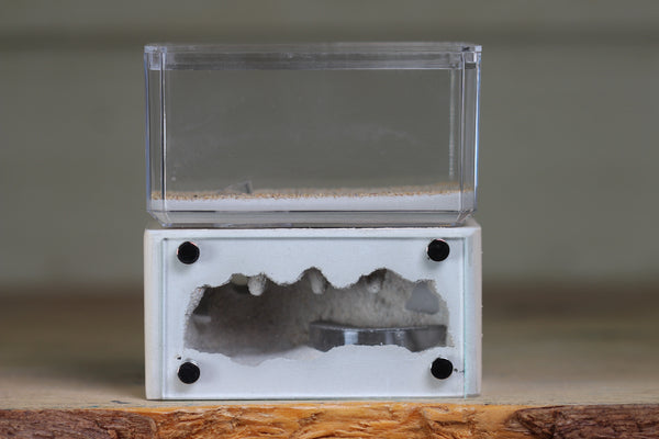 Mini Hearth (BF)(Bone 1050)