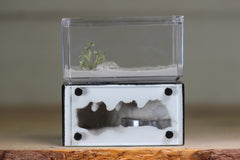 Mini Hearth (BF)(Black 1061)