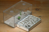 Mini Labyrinth (Bone 6705)