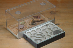 Mini Labyrinth (Grey 6706)