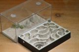Labyrinth (1404 Black)