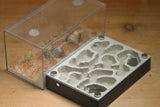 Labyrinth (1405 Grey)