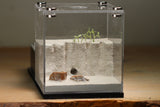 Lair Formicarium (BF)(Black 600)(MQ Box)