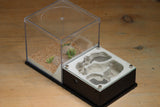 Lair Formicarium (BF)(Black 606)