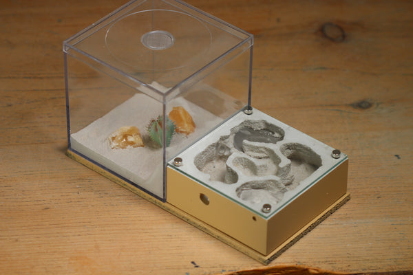 Lair Formicarium (BF)(Beige 607)