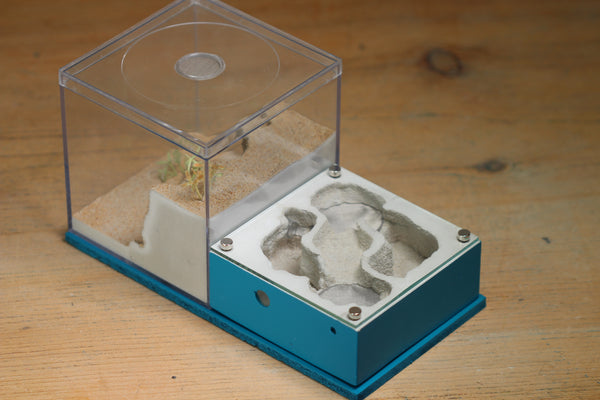 Lair Formicarium (BF)(Aqua Blue 611)