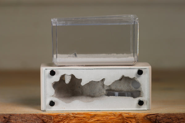 Mini Hearth XL (Bone 1116)