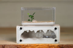 Mini Hearth XL (Bone 1120)