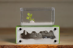 Mini Hearth XL (Lime 1133)