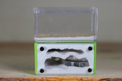 Mini Hearth, Bifurcated (Lime 633)
