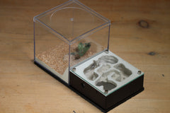 Lair Formicarium (Black 3303)