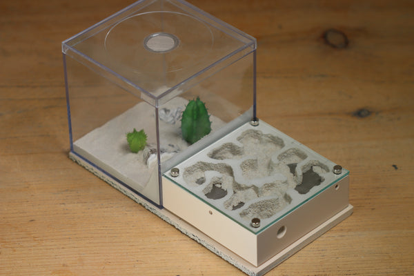 Fallen Fortess Formicarium (Bone 3307)