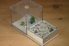 Fallen Fortess Formicarium (Bone 3307)