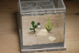 Fallen Fortess Formicarium (Bone 3308)