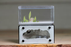 Mini Hearth (Black 9051)