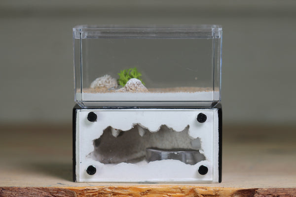 Mini Hearth (Black 9053)