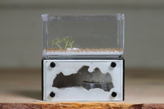 Mini Hearth (Black 9055)