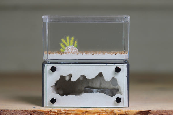 Mini Hearth (Grey 9058)