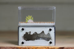Mini Hearth (Grey 9058)