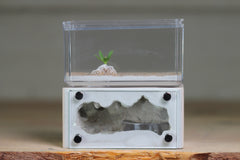 Mini Hearth (Bone 9062)