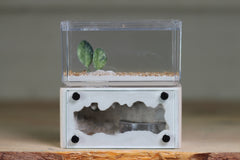 Mini Hearth (Bone 9063)