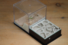 Fallen Fortress Formicarium (Black 3325)