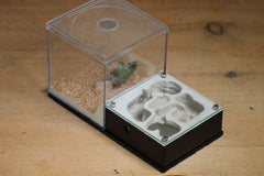 Fallen Fortress Formicarium (Black 3326)(Lair Style)