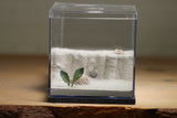 Fallen Fortress Formicarium (Grey 3329)