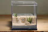 Fallen Fortress Formicarium (Grey 3327)(Lair Style)