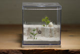 Fallen Fortress Formicarium (Bone 3328)(Lair Style)