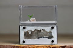 Mini Hearth (Grey 9075)(Aqua Blue GLOW)