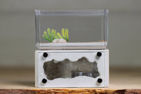 Mini Hearth (Bone 9076)(Aqua GLOW)
