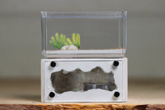 Mini Hearth (Bone 9076)(Aqua GLOW)