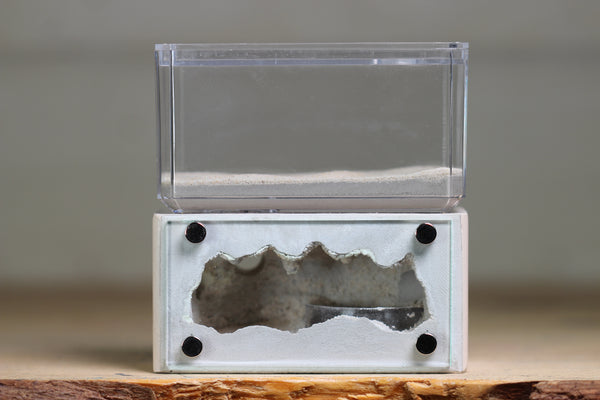Mini Hearth (Bone 9078)(Green GLOW)