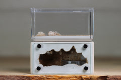 Mini Hearth (Bone 9082)