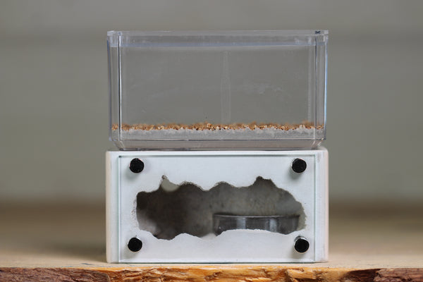 Mini Hearth (Bone 9083)