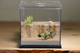 Fallen Fortress Formicarium (Black 3351)(Canyon)