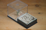 Fallen Fortress Formicarium (Grey 3355)