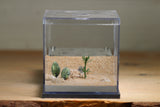 Fallen Fortress Formicarium (Grey 3355)