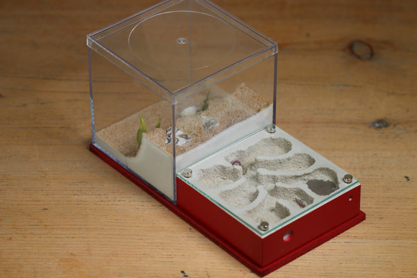 Fallen Fortress Formicarium (Red 3358)(Canyon)