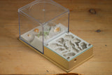 Fallen Fortress Formicarium (Beige 3359)(Canyon)