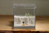 Fallen Fortress Formicarium (Beige 3359)(Canyon)