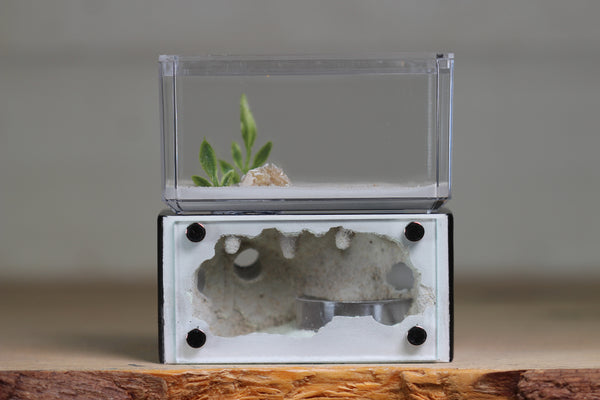 Mini Hearth (Black 9251)(GLOW)